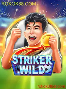 StrikerWILD